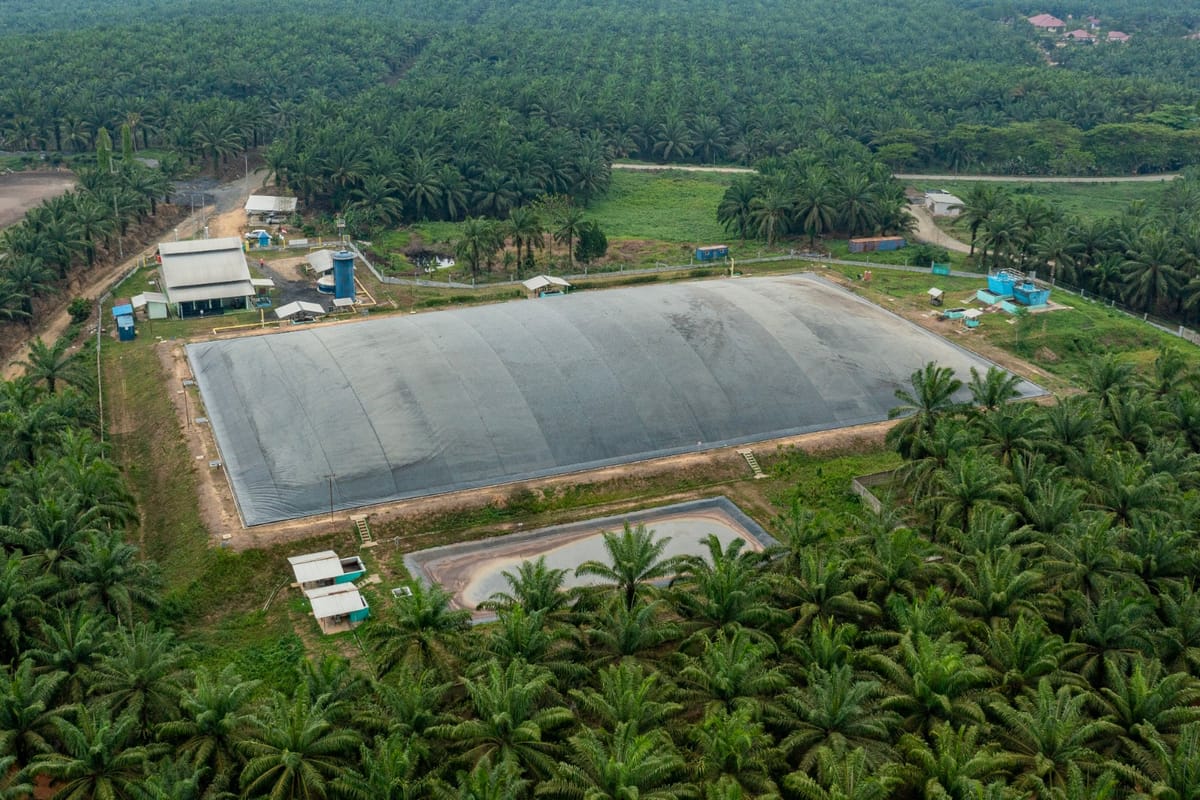 Biogas Sukadamai Tekan 121 Ribu Ton CO₂e, Nagata Bio Energi Masuk Bursa Karbon