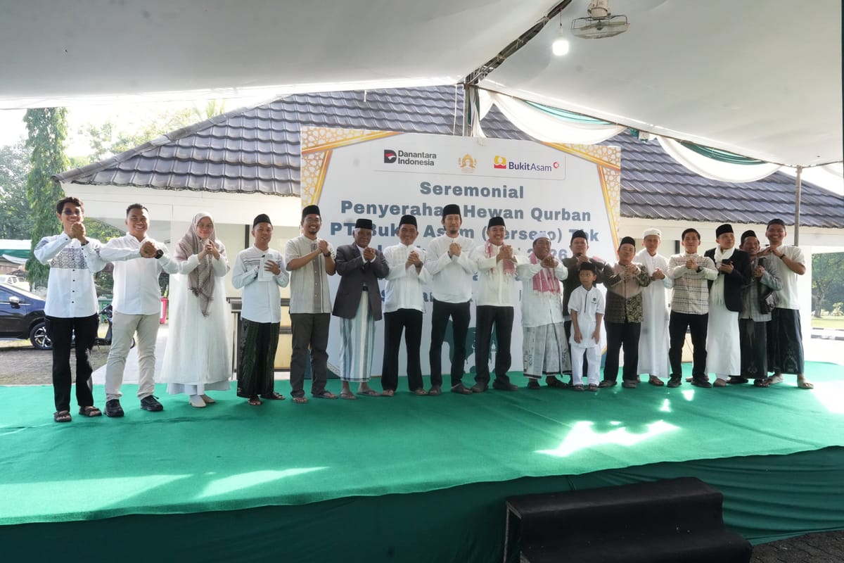 Peringati Iduladha 1447 H, PTBA Salurkan 300 Hewan Kurban di Berbagai Wilayah Operasional
