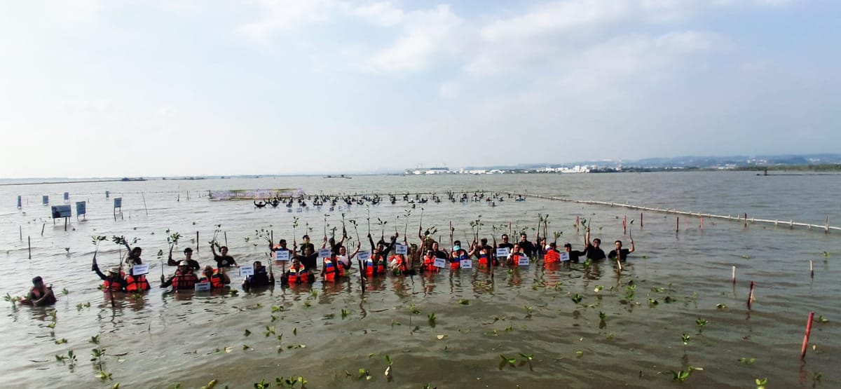 PAMA Group Tanam 2.000 Bibit Mangrove di Pesisir Semarang dalam Media Gathering 2026