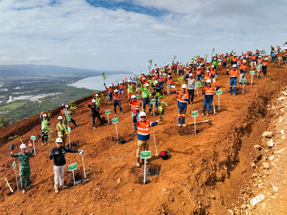 Hari Lingkungan Hidup Sedunia, Ceria Corp Tanam Pohon melalui Program Green Legacy