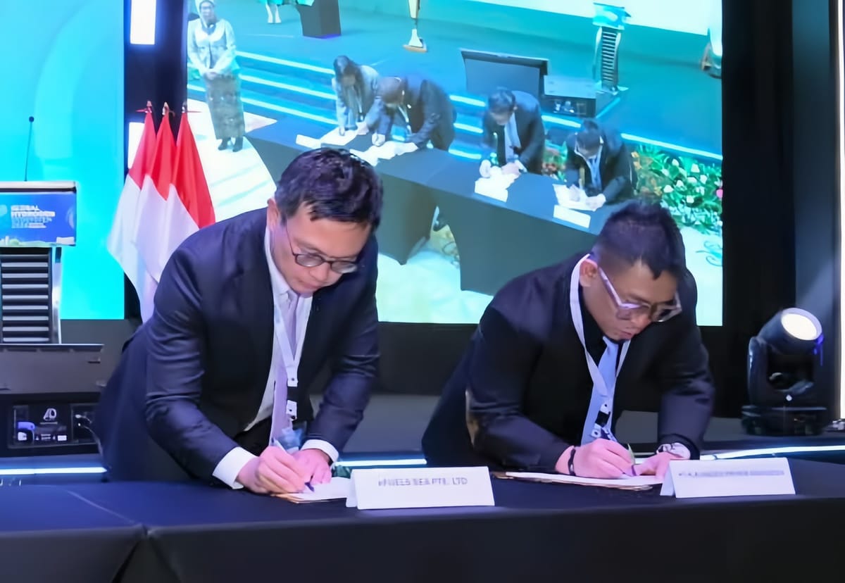 Jajaki Pengembangan Rantai Pasok Hidrogen Hijau Indonesia-Singapura, PLN EPI Gandeng eFUELS SEA