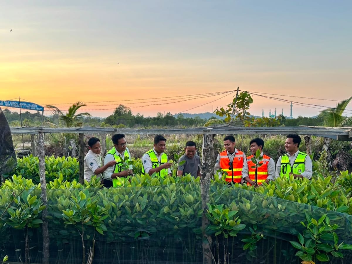 PAMA KPCS Dorong Konservasi Mangrove Berkelanjutan Melalui Pembinaan Komunitas Alien Mangrove