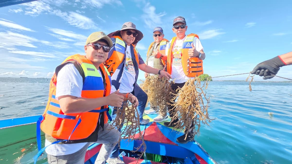 PAMA dan IMM Perkuat Kemandirian Ekonomi Masyarakat Tihi-Tihi melalui Intensifikasi Budidaya Rumput Laut