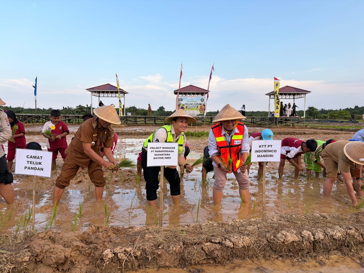 Dorong Ketahanan Pangan dan Edukasi Lingkungan, PAMA Ajak Pelajar Tanam Padi Organik di Kutai Timur
