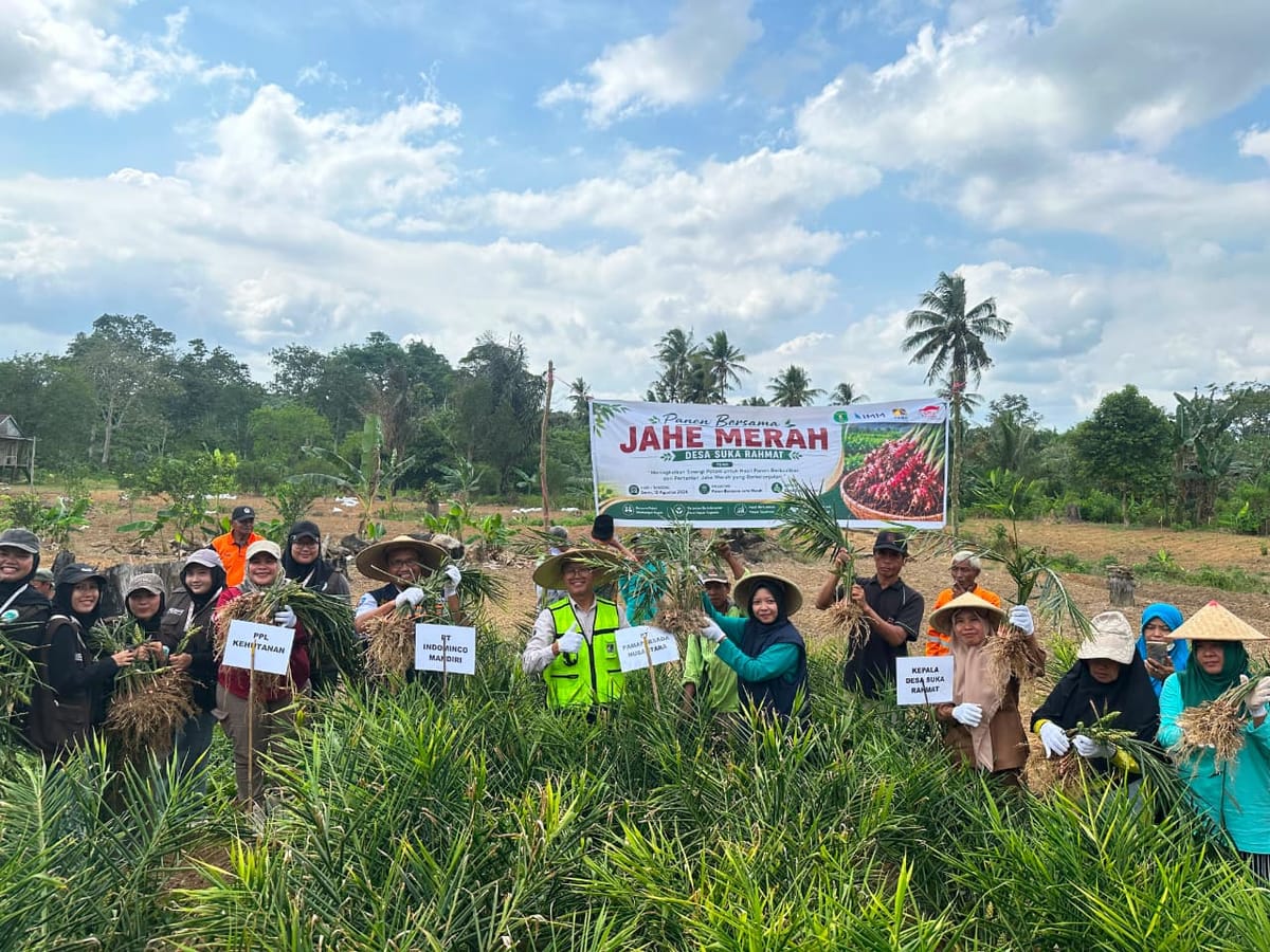 Program Si Jame Perkuat Rantai Pasok Jahe Merah dan Buka Akses Pasar Petani Binaan CSR PAMA Indo