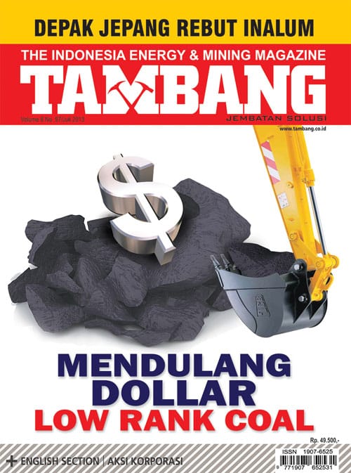 Mendulang Dollar, Low Rank Coal