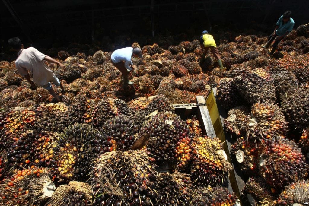 Harga Minyak Murah Dinilai Hambat Progam Biodiesel