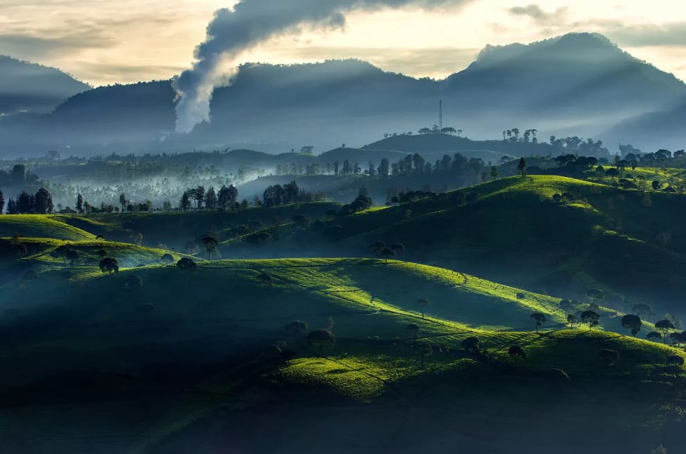 Pemerintah Teken Mou Kembangkan Panas Bumi di Mataloko