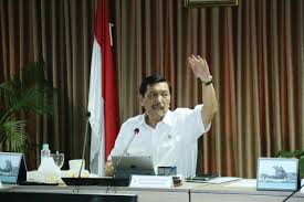 Menko Luhut Ajak Produsen Mobil Listrik Berinvestas Baterai Lithium Di Indonesia