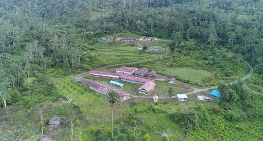 Lanjutan Kontrak Ekspansi Indika Ke Tambang Emas