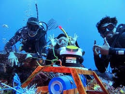 ESDM Kaji Potensi Pengembangan Pembangkit Listrik Arus Laut Di Selat Pantar, NTT