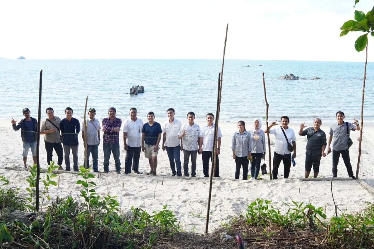 Kawasan BIO PT Timah Jadi Lokasi Penetasan Ribuan Telur Penyu 