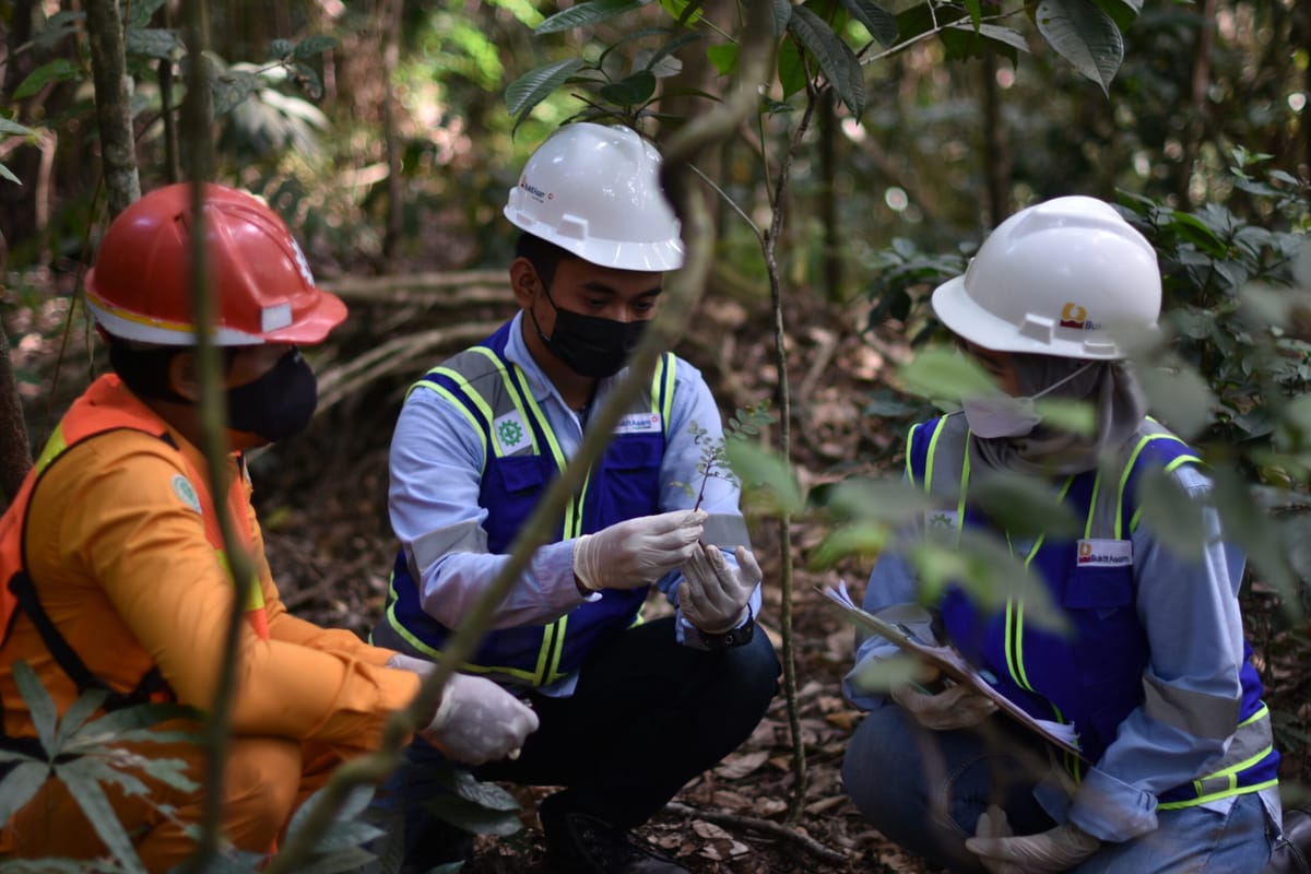 Pulihkan Bekas Tambang, PTBA Sudah Tanam 1,33 Juta Pohon di Areal Reklamasi