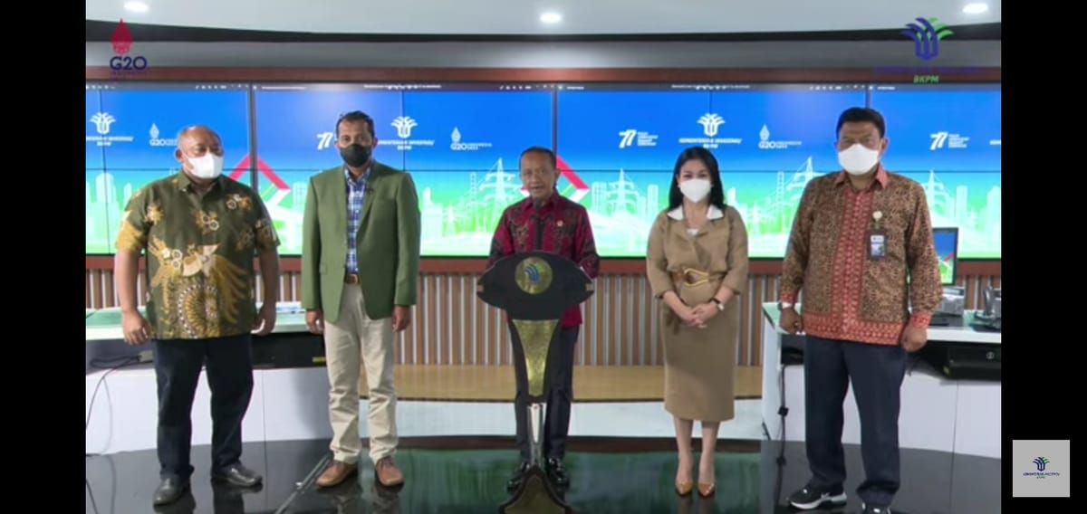 Pemerintah Cabut 2.065 IUP Mineral dan Batu Bara