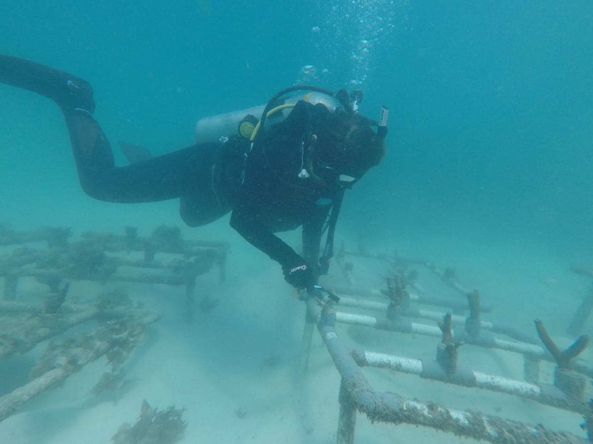 PTBA Dukung Pengembangan Pariwisata Nasional