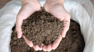 Dorong Kemandirian Desa, PLN Salurkan Bibit Padi dan FABA untuk Pupuk di Bangka Tengah