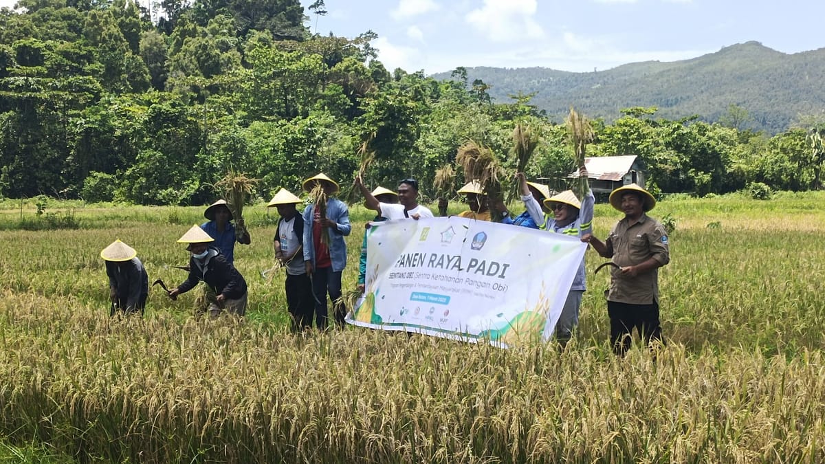 Melalui Program Sentani, Harita Nickel Gelar Panen Raya di Pulau Obi