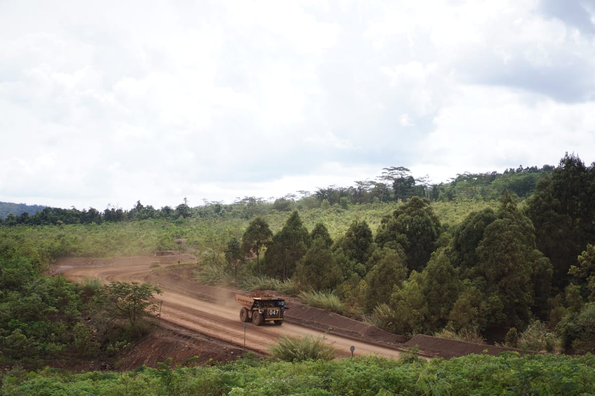 Top! VALE Reklamasi 295,43 Hektare Lahan Pascatambang Sepanjang 2022