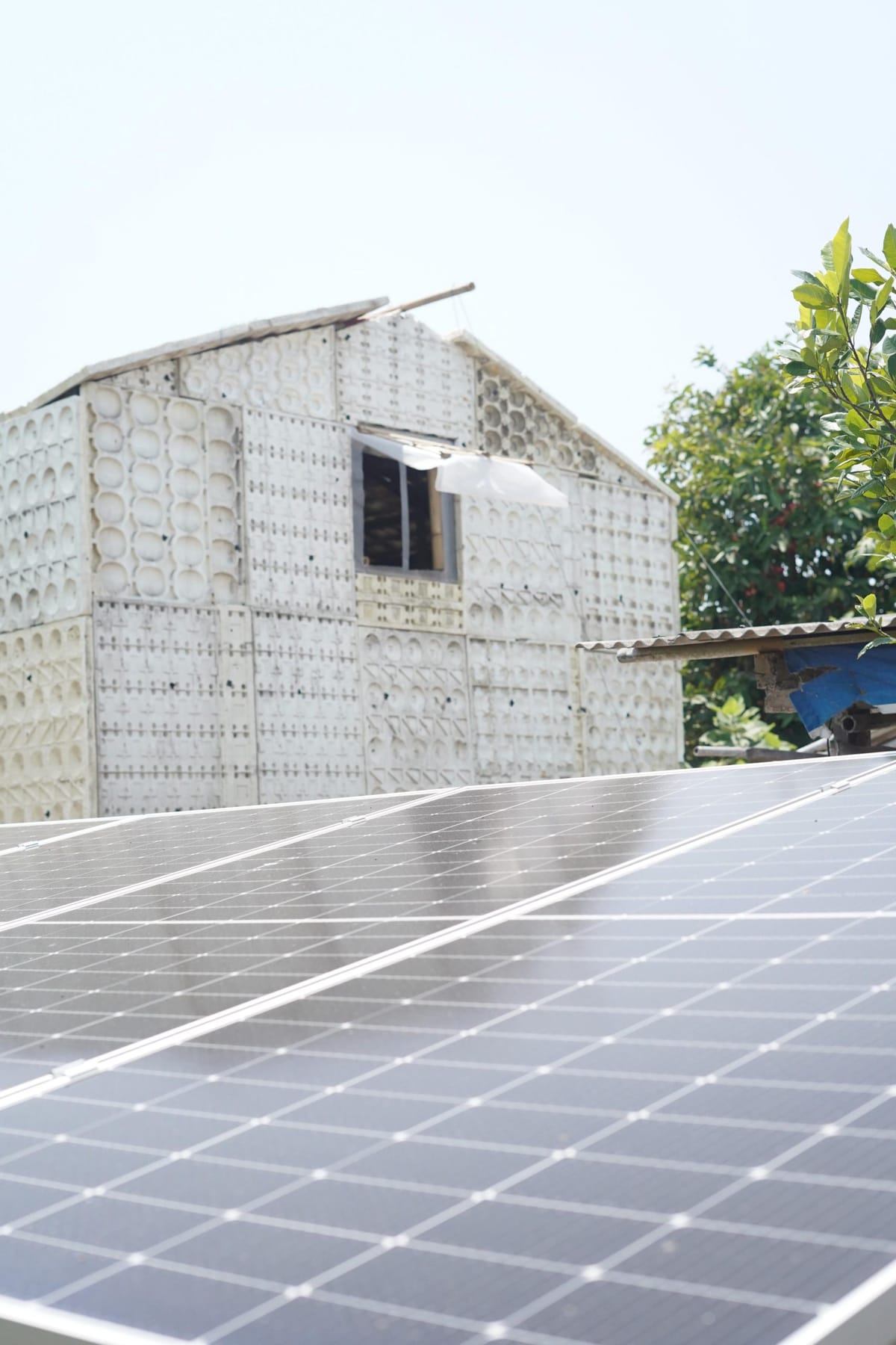 Jamur Bertenaga Matahari, Tumbuh Subur Menyambut Idul Fitri