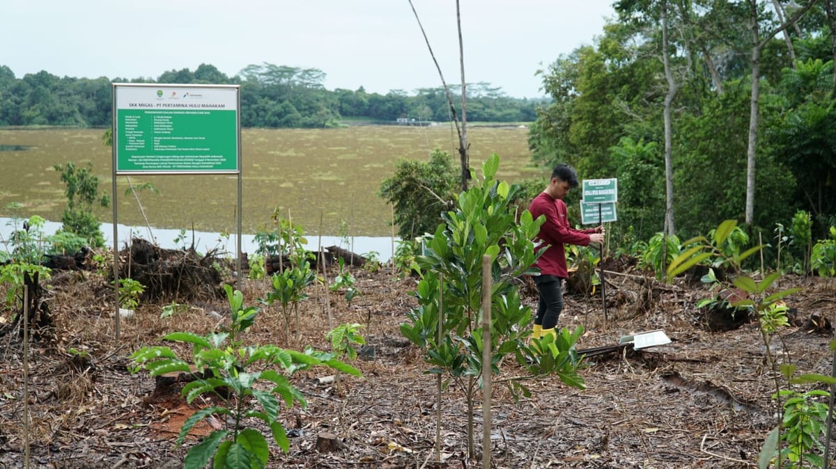 PHM Rehabilitasi DAS Di Kawasan Hutan Lindung Manggar Dan Sungai Wain