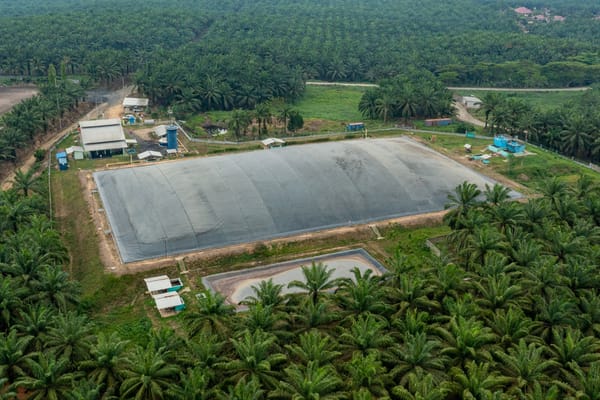 Biogas Sukadamai Tekan 121 Ribu Ton CO₂e, Nagata Bio Energi Masuk Bursa Karbon