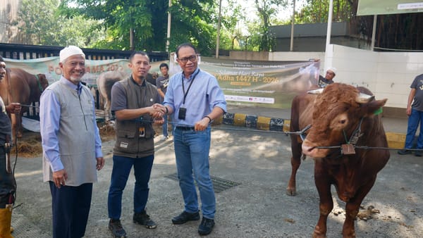 Tebar Manfaat bagi Masyarakat, PAMA Salurkan 726 Hewan Kurban Iduladha 1447 H