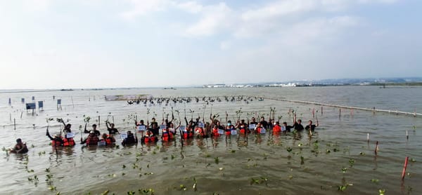 PAMA Group Tanam 2.000 Bibit Mangrove di Pesisir Semarang dalam Media Gathering 2026