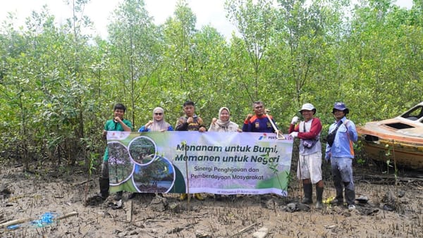 Sinergikan Lingkungan dan Ekonomi, Pertamina EP Bunyu Field Tanam 1.000 Bibit Mangrove dan Durian