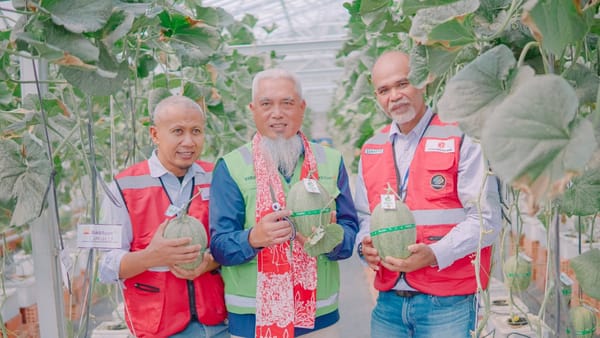PTBA-PPA Resmikan Tiga Unit Greenhouse Kembangkan Pertanian Hidroponik Modern