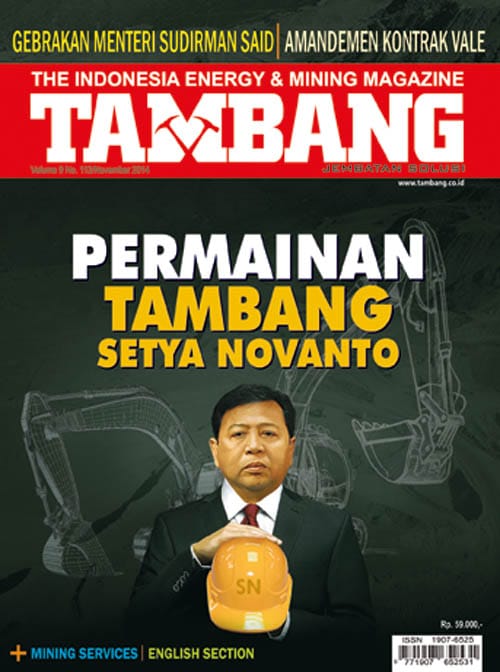 Permainan Tambang Setya Novanto