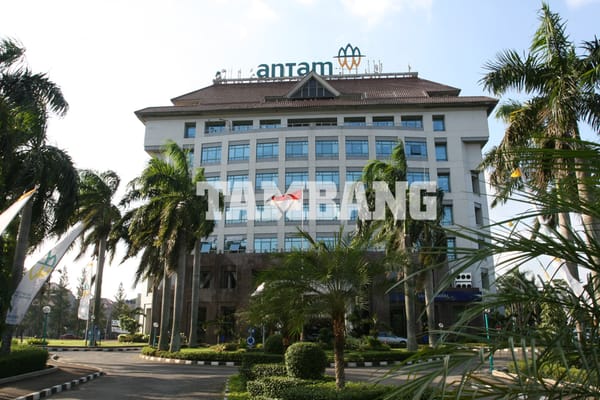 Terkait Larangan Ekspor Bauksit, Ini Kata Dirut Antam