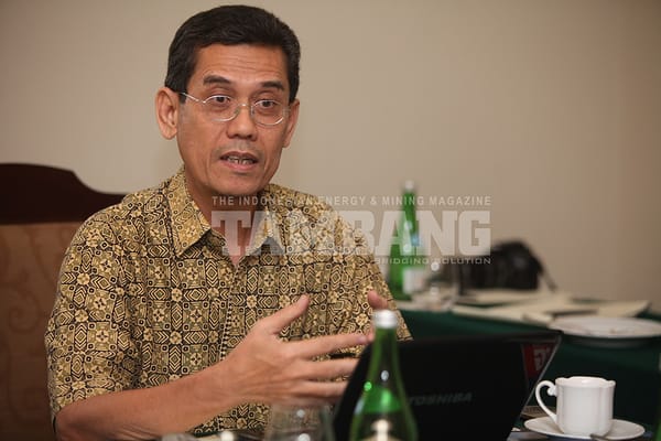 IRESS: Hilirisasi Lambat Karena Ada Intervesi Asing