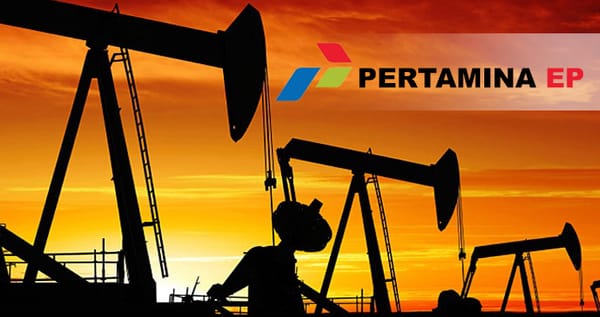 Pertamina EP Dorong Kinerja Kelola Lapangan Sele Linda