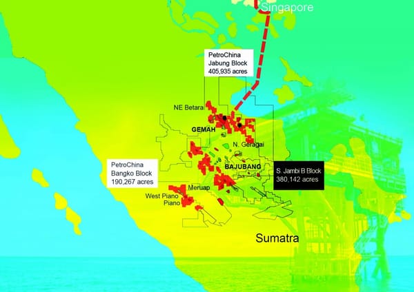 Meski Harga Minyak Turun, PetroChina Komit Eksplorasi Blok Jabung