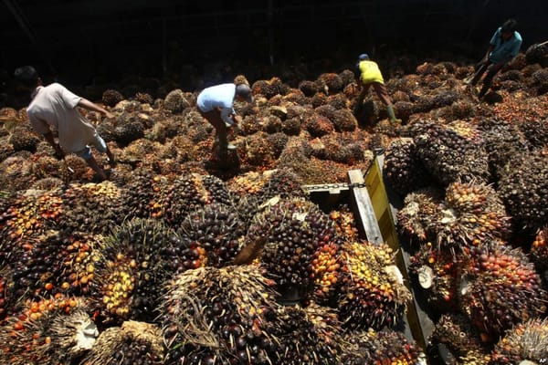 Harga Minyak Murah Dinilai Hambat Progam Biodiesel