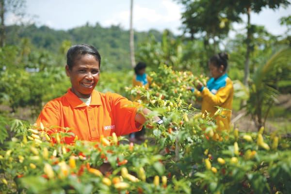 Industri Tambang, Lokomotif Sekaligus Gerbong Ekonomi Nasional