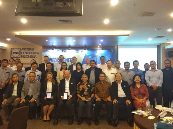 Apindo Kerja Sama dengan Swedia Kembangkan EBT