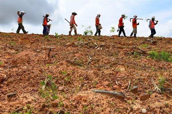 Bertanam Hari Ini, Berteduh Kemudian