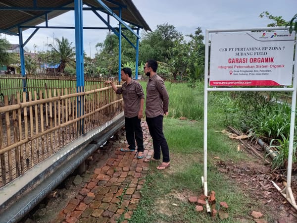 Inovasi "Garasi Organik" Binaan Pertamina Field Subang Beri Banyak Manfaat Buat Peternak