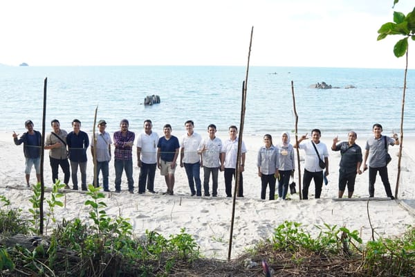 Kawasan BIO PT Timah Jadi Lokasi Penetasan Ribuan Telur Penyu 