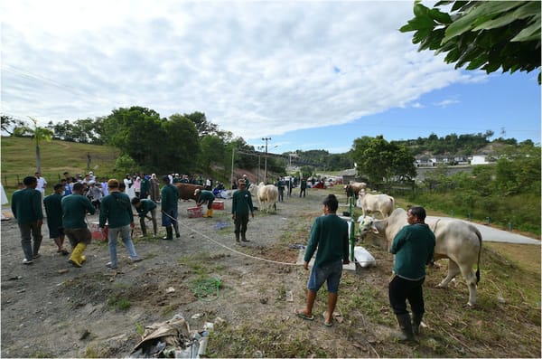PTBA Salurkan 196 Sapi dan 62 Kambing Kurban Kepada Masyarakat Lingkar Tambang