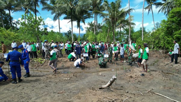 Bersama Universitas Khairun, Harita Nikel Lakukan Sosialisasi Dan Rehabilitasi Hutan Mangrove
