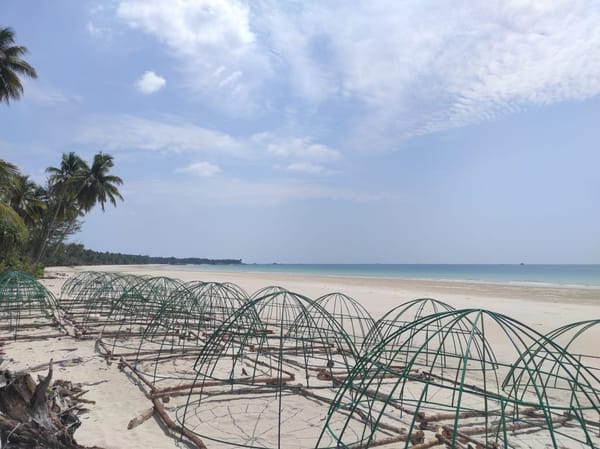 Tenggelamkan Artificial Reef, PT Timah Komitmen Jaga Ekosistem Laut Berbasis Wisata