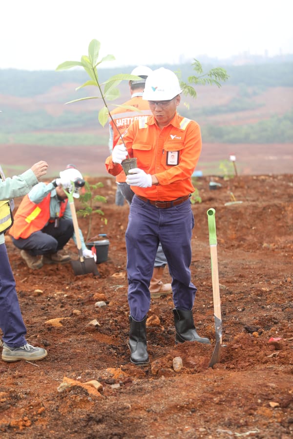 Tanam Pohon di Lahan Reklamasi, PT Vale Wujudkan Komitmen Peduli Lingkungan
