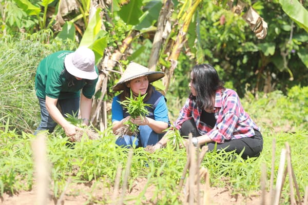 PT Vale Dorong Kemandirian Warga Lokal di Sektor Ketahanan Pangan