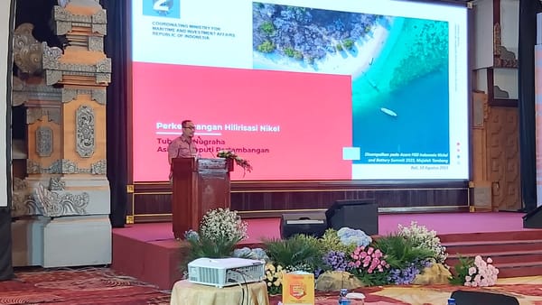 Ini Langkah Pemerintah Tingkatkan Nilai Tambah dari Hilirisasi Nikel