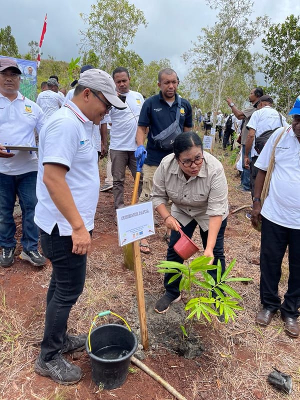 PTFI Beri Bantuan 20.000 Bibit Bambu Untuk Selamatkan Cagar Alam Pengunungan Cycloop