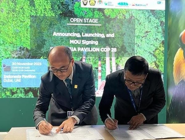 penetralisir air asam tambang