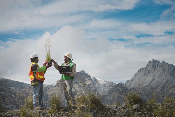 Menanam Di Atas Awan, Potret Reklamasi Tambang Di Gunung Grasberg