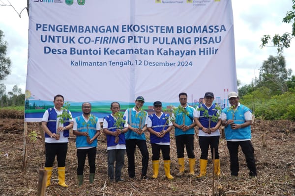 Untuk Cofiring PLTU Pulang Pisau-Kalteng, PLN EPI Kelola Tanaman Gamal Di Area Seluas 100 Ha